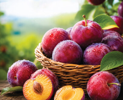 Alu Bokhara Fruits