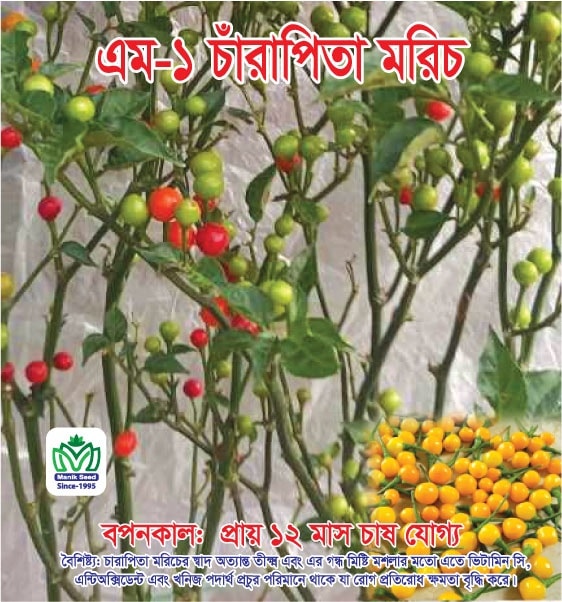 503618105_1137459141732775_1881870146523388501_n